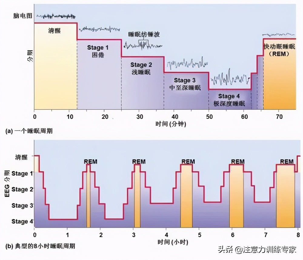 孩子上课昏昏沉沉,精神状态差?提升回忆效果,孩子学习状态佳