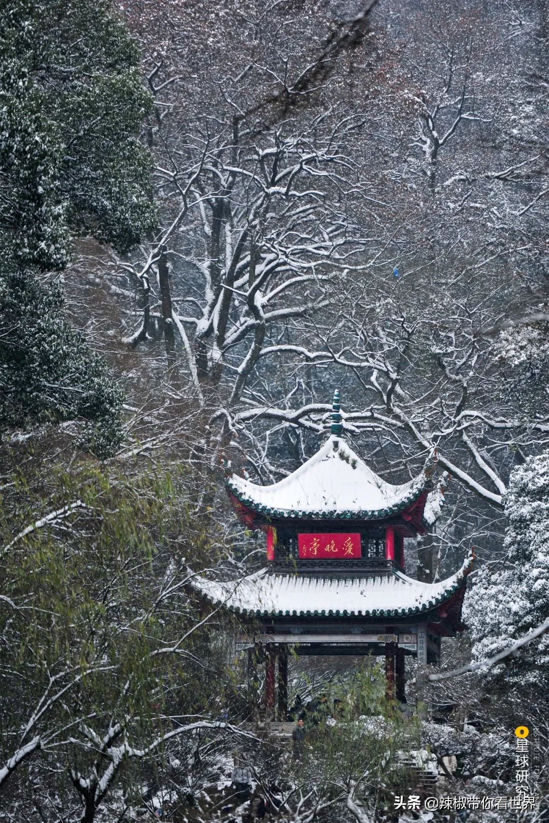 从西到东：长沙——解密星城它绝对不会让你失望