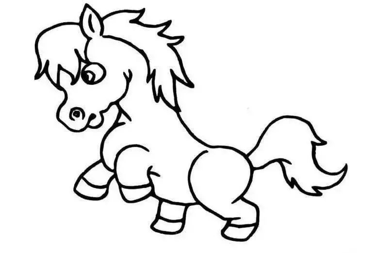 属马的适合戴什么生肖的手串,本命年戴什么生肖手串