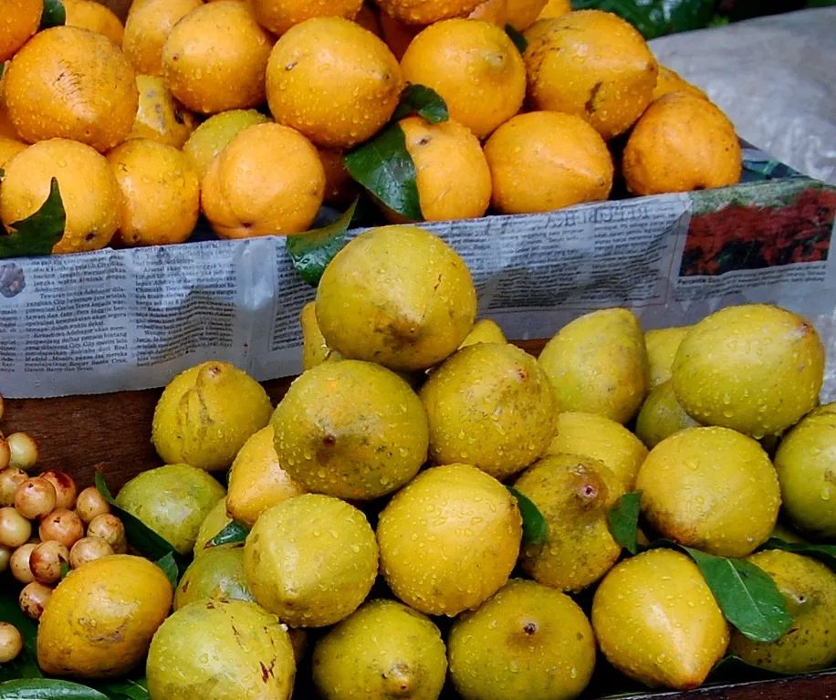 云南人最认同的本地食材,外省人来云南没有见过的菜