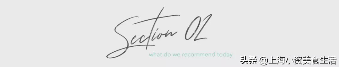 豆柴犬幼犬直播,豆柴是一只非常可爱的小狗