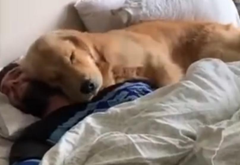 过度兴奋的狗子,狗狗兴奋的表现和症状