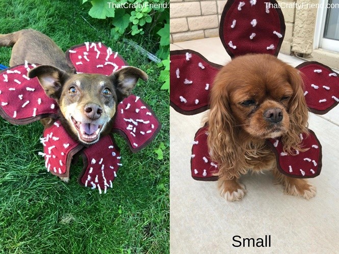 怪奇物语猎奇,怪奇物语十件套