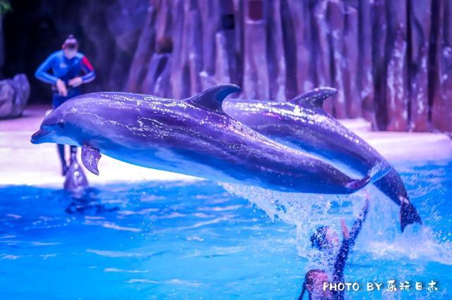 珠海亲子游必玩景点,珠海一日游适合带孩子玩的景点