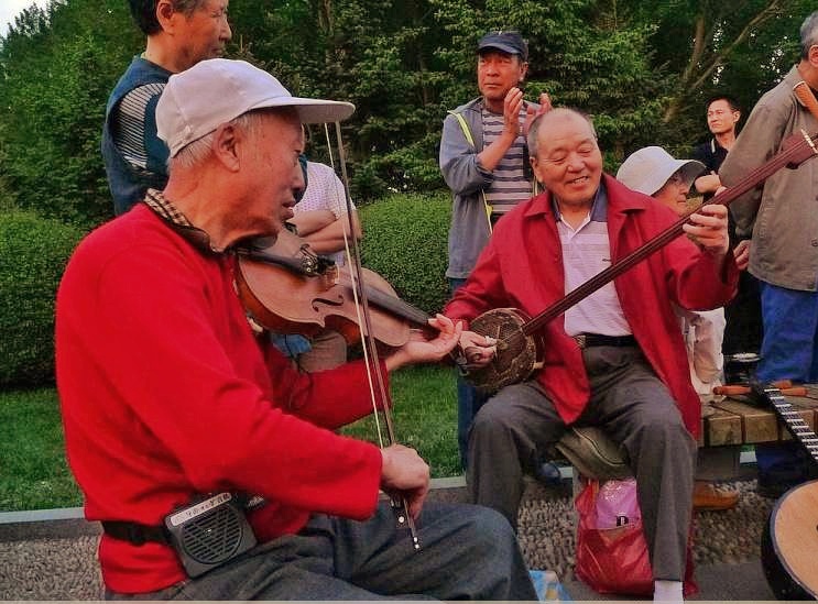 郁金香是荷兰的国花代表永恒的爱,为什么荷兰要把郁金香定为国花