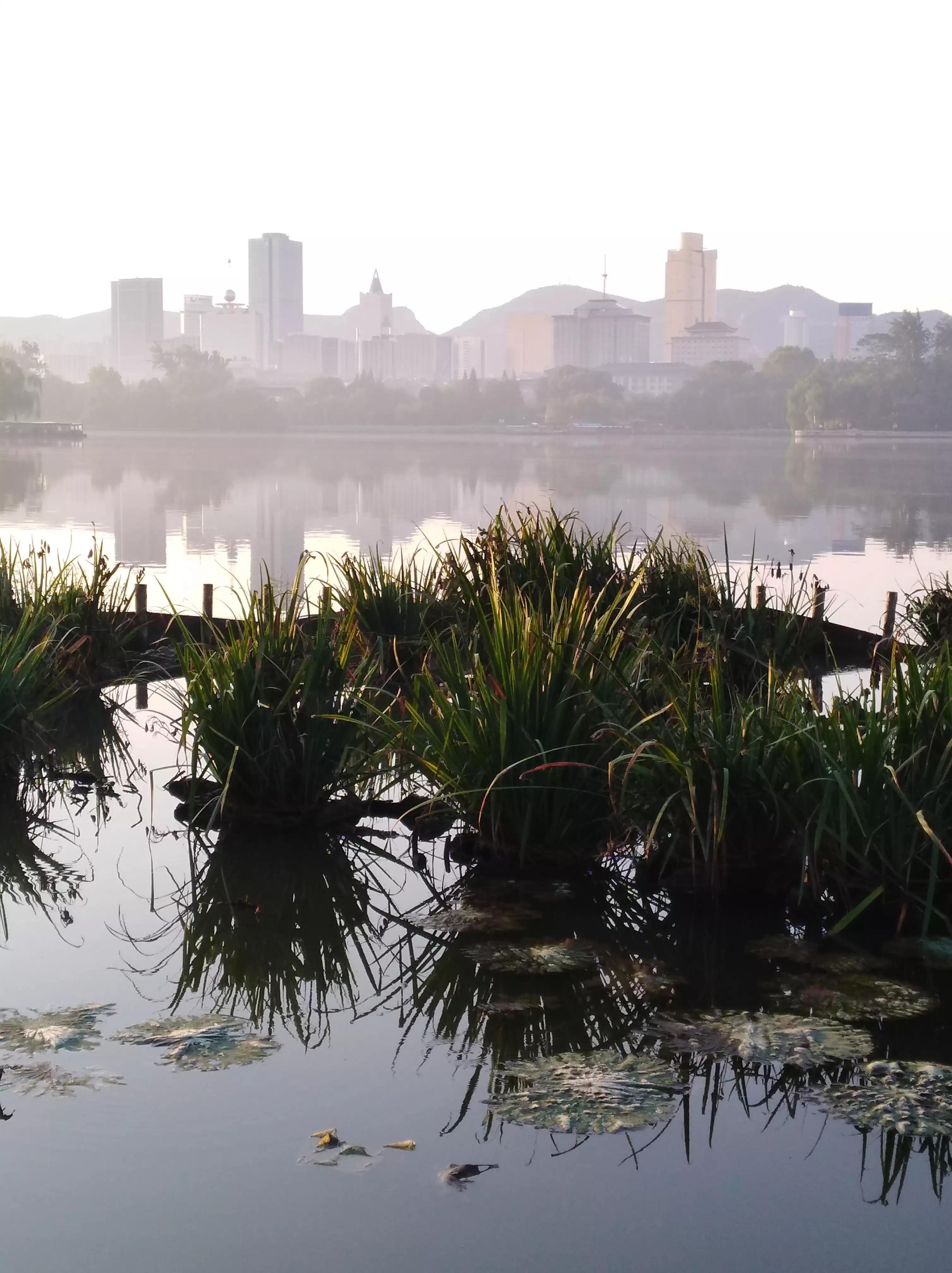 多彩的秋天绘本故事,多彩的秋天绘画