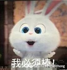 好不容易放个假男声完整版,好不容易放个假完整版女声