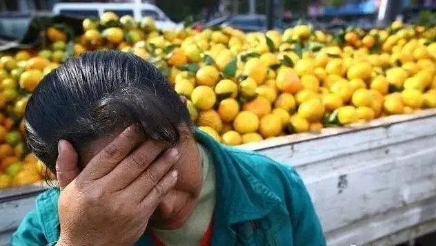 采购过程中以次充好弄虚作假,农户掺假怎么处理