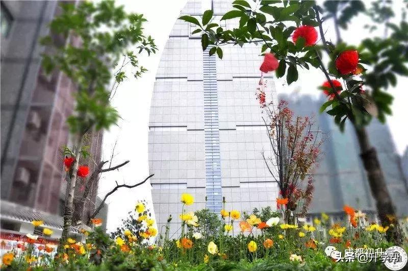 成都校园高颜值,成都环境最好的高中