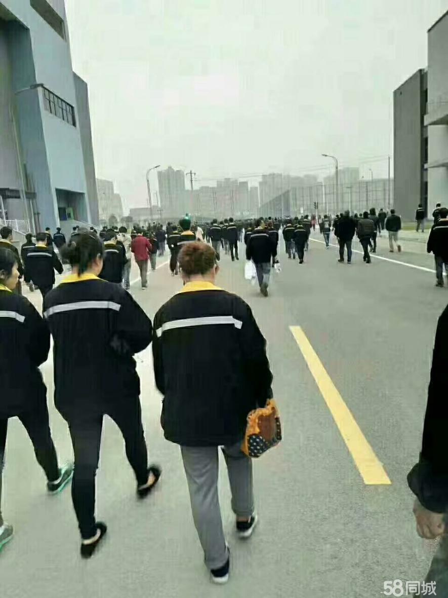 成都捷普入职流程,成都捷普正式工面试