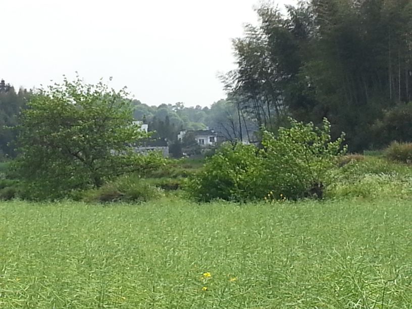 被誉为中国最美的古村落,徽州婺源风光