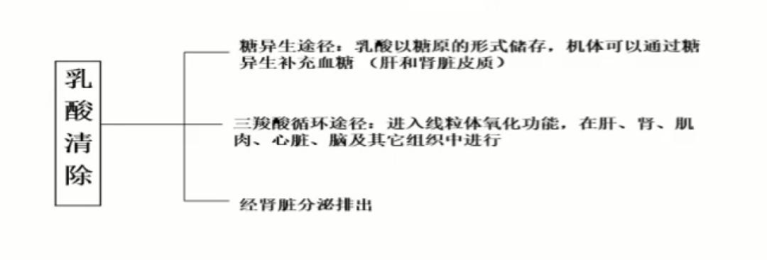 冀晓俊：乳酸酸中毒的诊治（上）