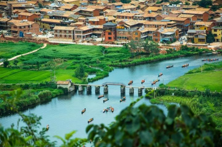 什么是云南品种,什么是云南的特色