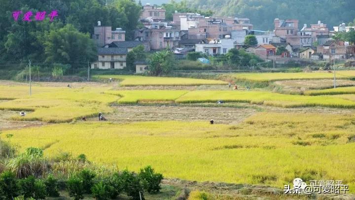 昭平县桂江东岸公路视频,贺州昭平道路建设