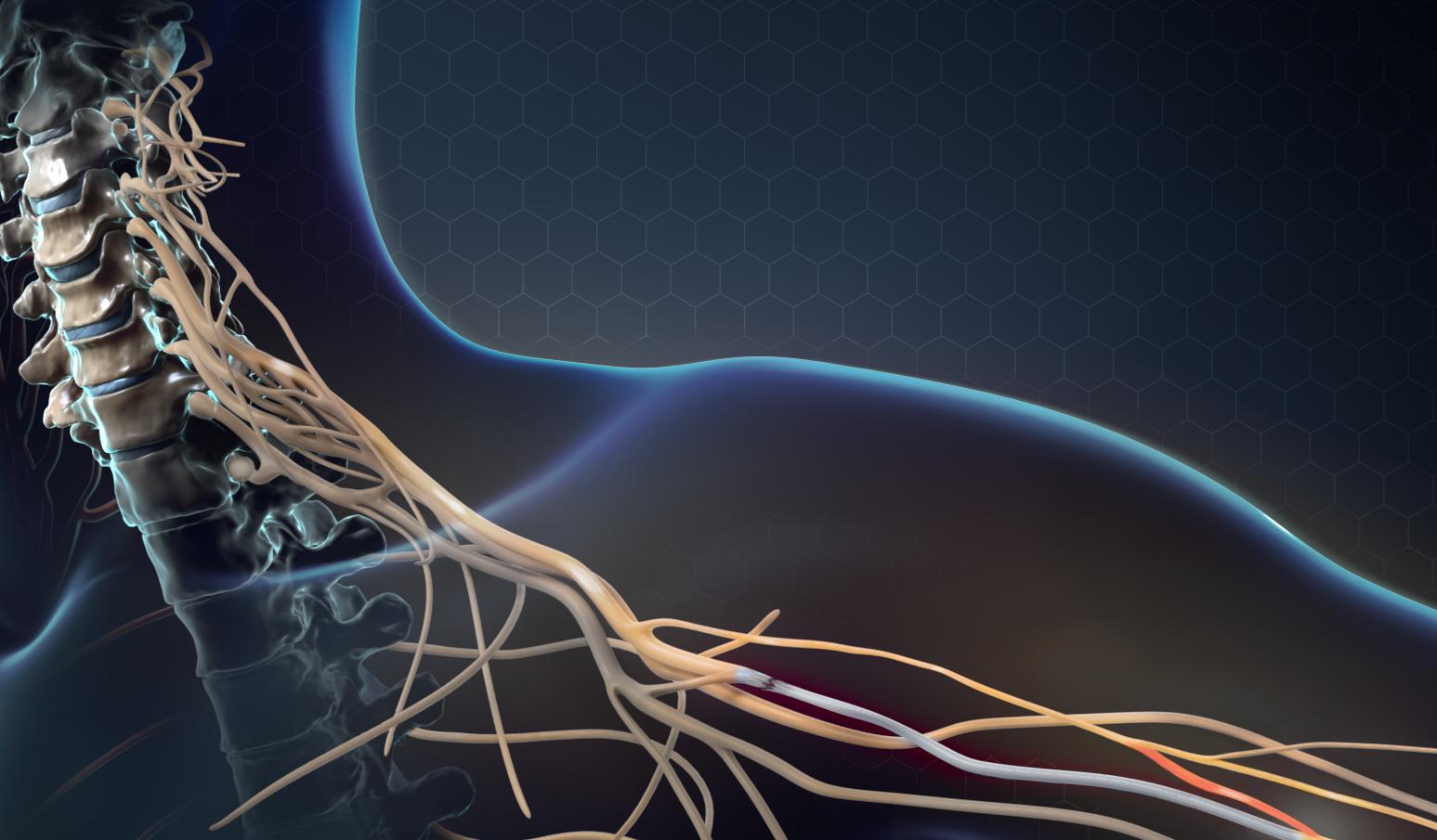 正中神经损伤吃什么食物有助恢复,正中神经损伤的临床表现为