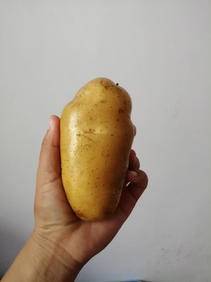 自制炸薯片变酸了,怎样炸薯片才能把薯片炸得嘎嘣脆