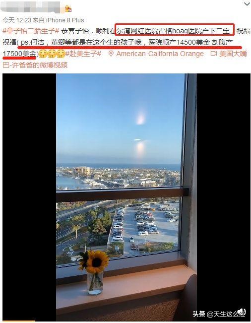 章子怡为什么会生二胎,章子怡生第二个孩子后状态