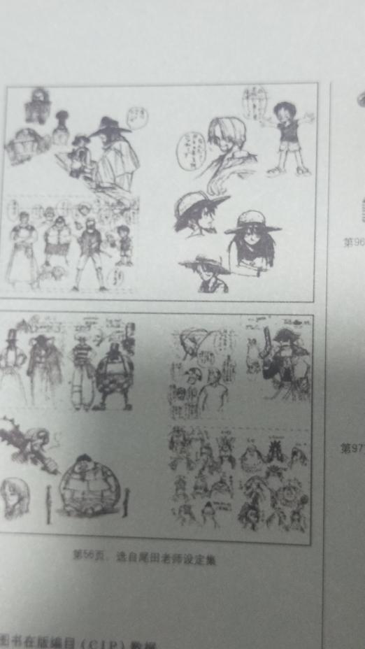 海贼王书籍选择 (海贼王书籍排名)