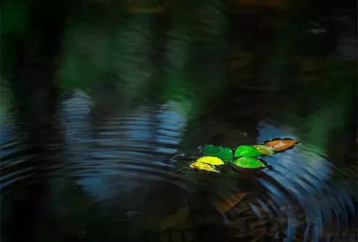 相思是一种美丽的缘分,相思是一种温馨的句子