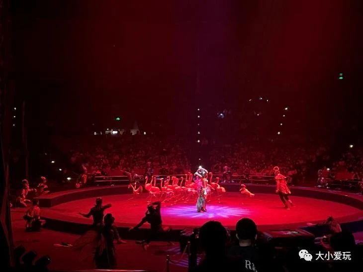 黄金周不用做攻略,这个海洋+科技的超大主题乐园,全家人都尽兴