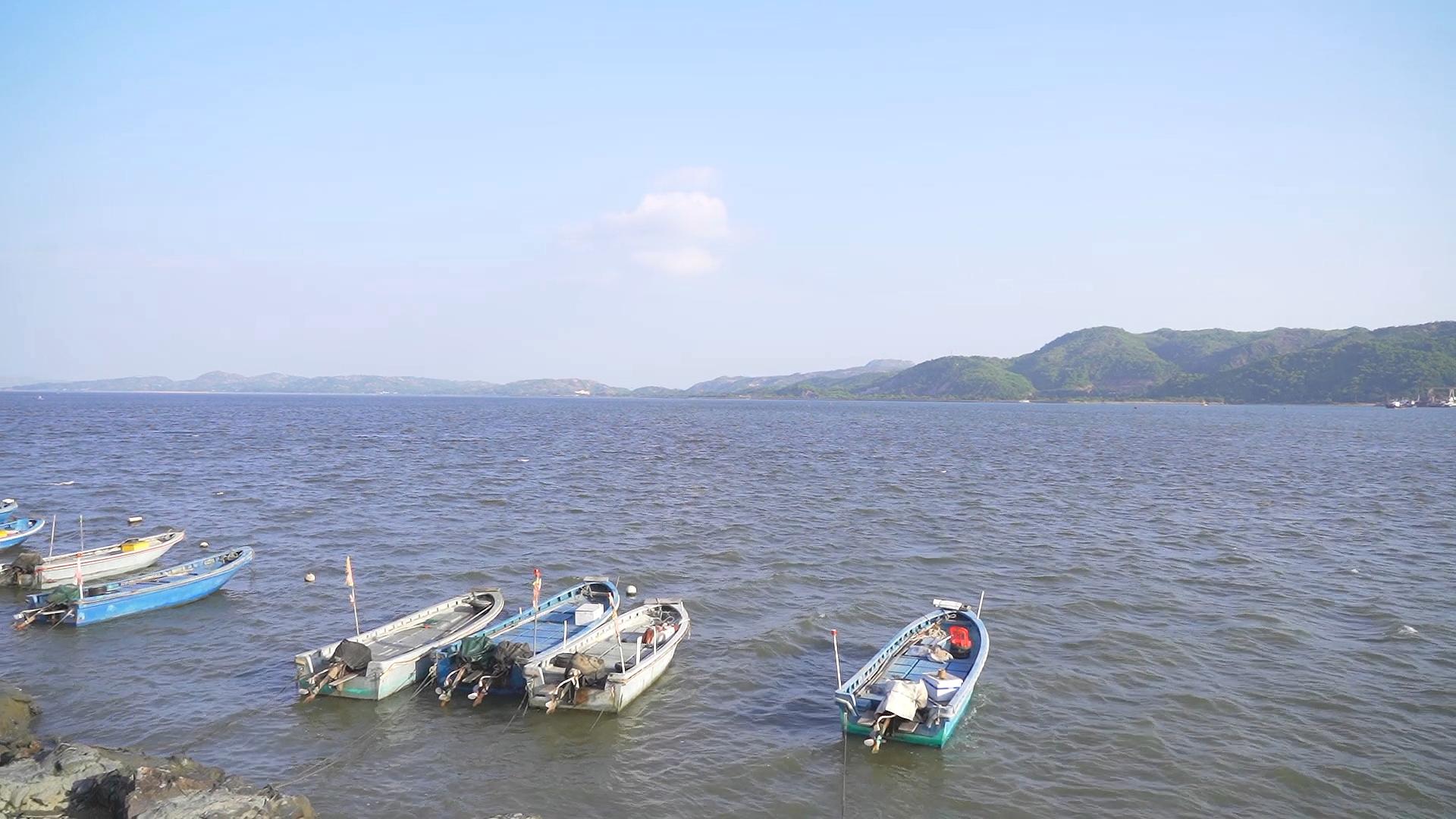 汕尾的当地美食以及特产,汕尾当地美食在哪里