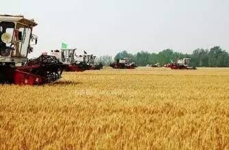 国家农业综合开发项目,农业综合开发产业