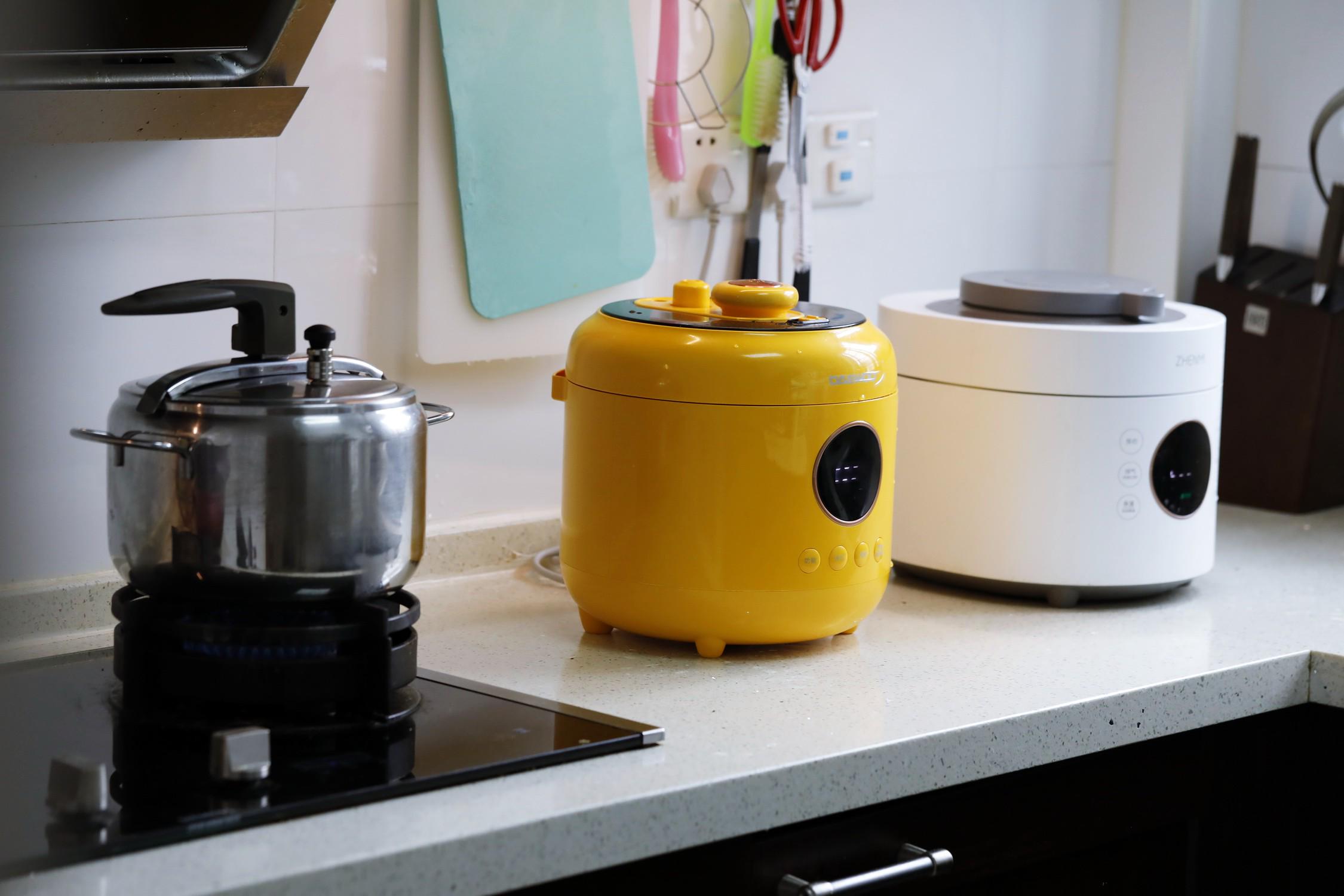 蒸煮两用电压力锅哪个牌子好,家用压力锅和微压锅哪个好