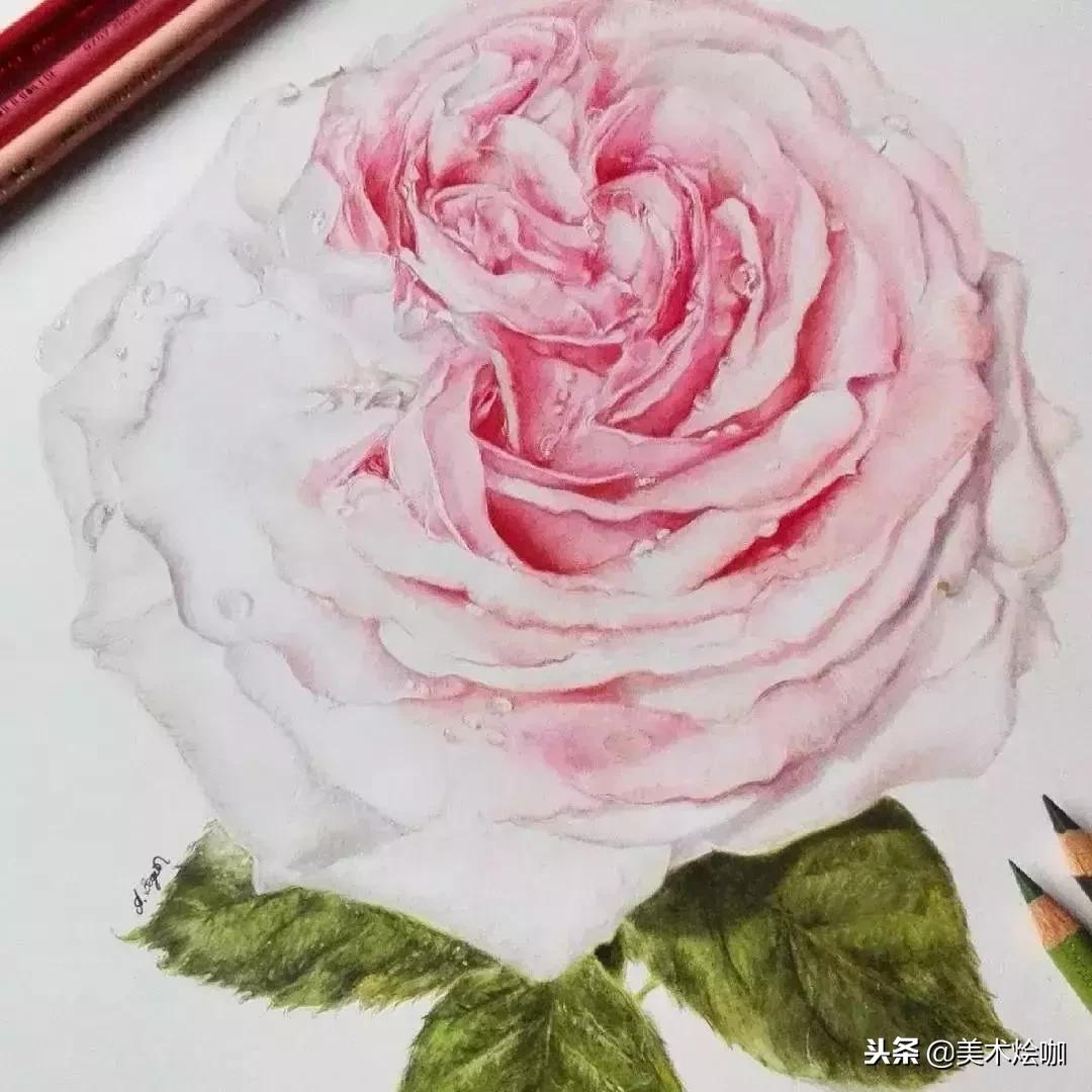 彩铅画教程超写实零基础入门,超写实彩铅画高清大图水果组合