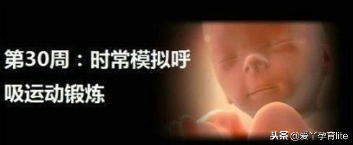 37周到40周做些什么产检,孕期产检知识大全