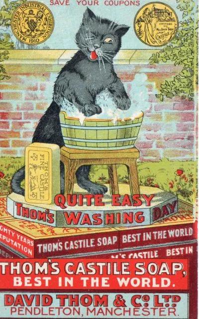 为什么古早广告会出现猫,为何古早广告中经常出现猫