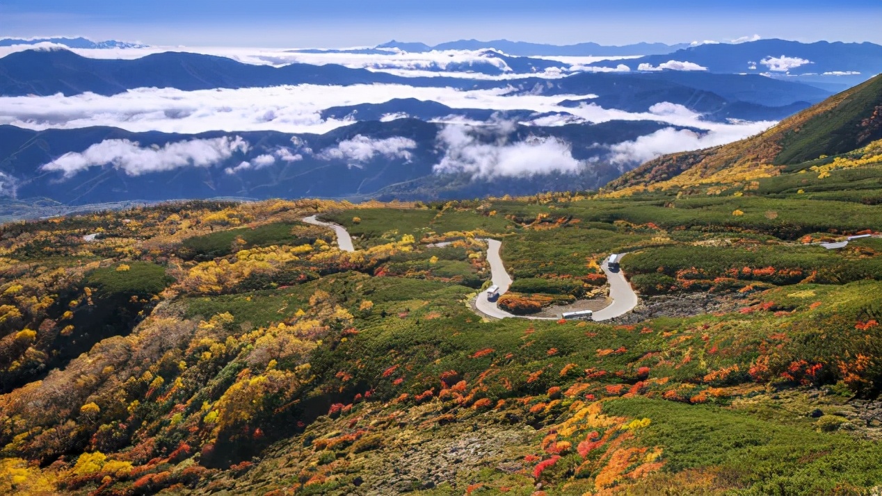 日本东京旅游必吃的美食,日本东京特色美食攻略