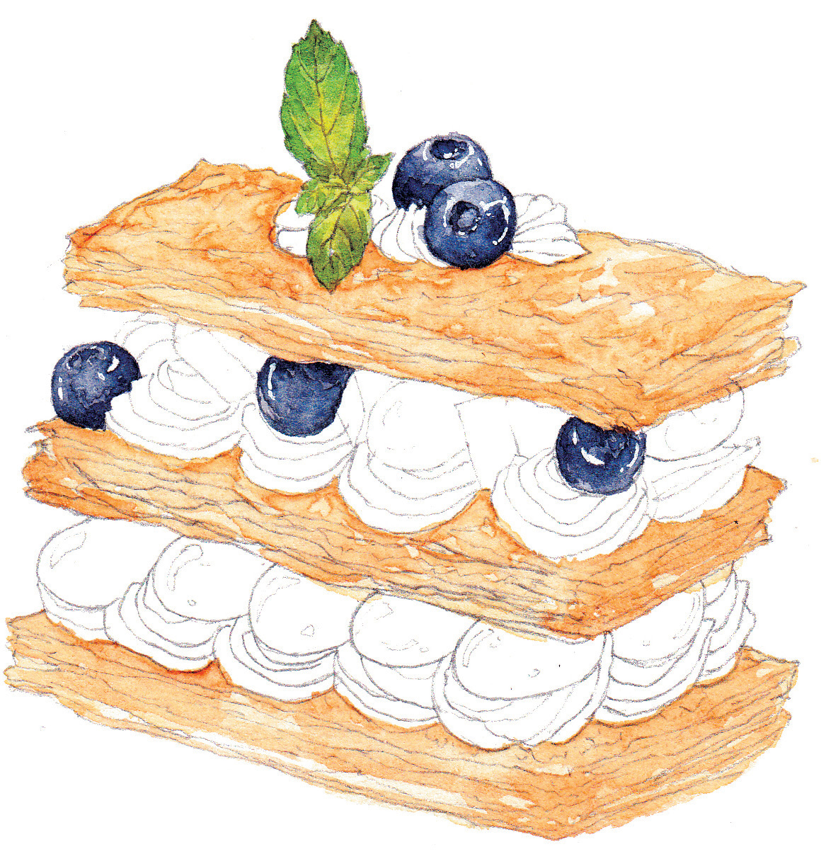 水彩葡萄蛋糕画法,水彩精致甜品教程