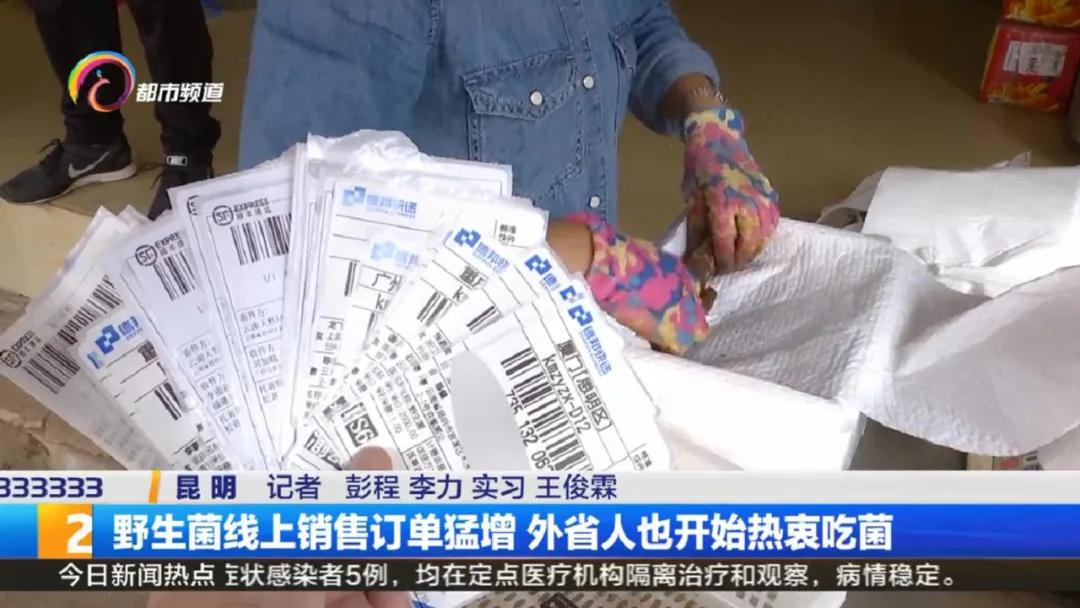 云南菌子交易市场直播,专门卖菌子直播