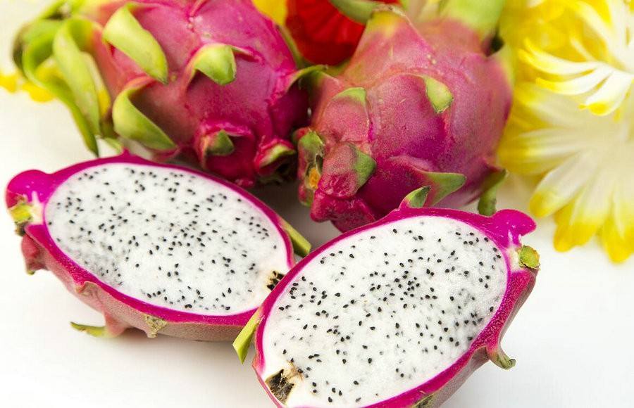 十人九痔疮有什么说法,十人九痔疮是什么意思