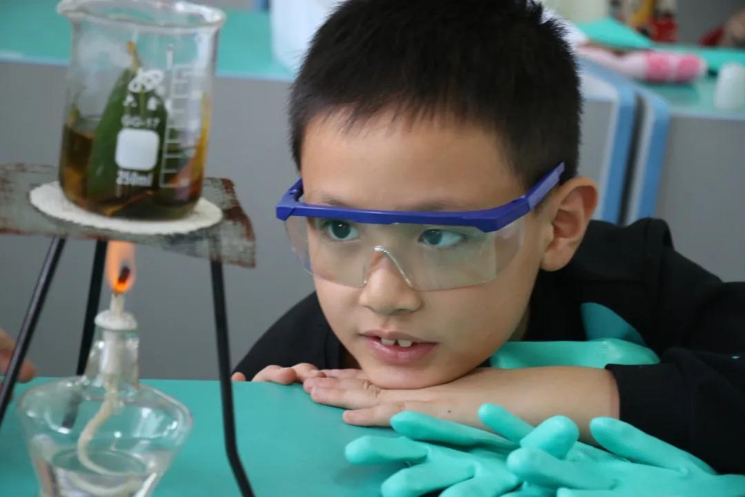 「北社向阳实验室」DIY叶脉书签,探索叶子的秘密,一