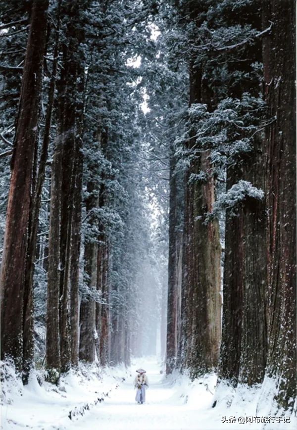 逛古寺逛神社感受日本京都的韵味,日本冷门的神社
