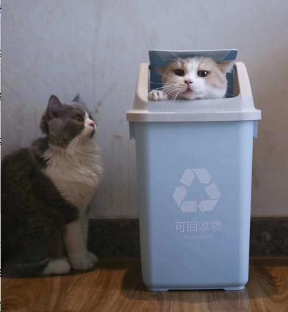 变废为宝再生产品,变废为宝市场现状与分析