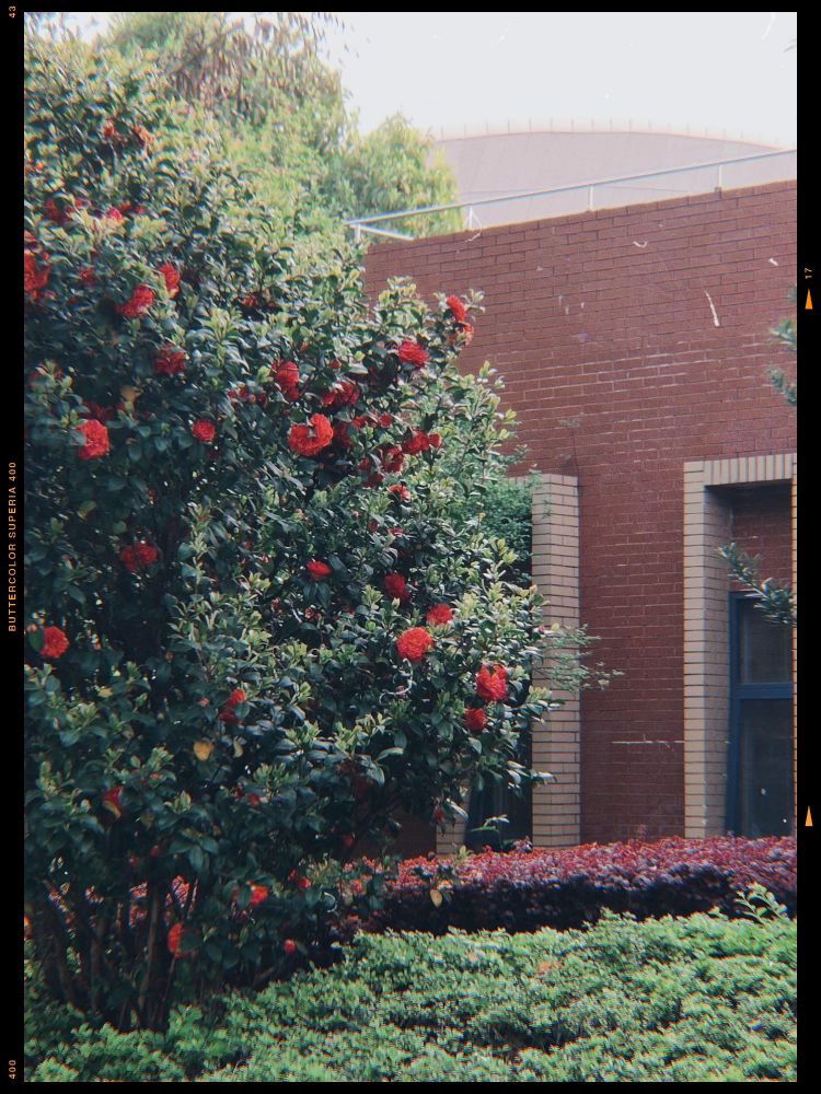 在广西师范大学的上学体验