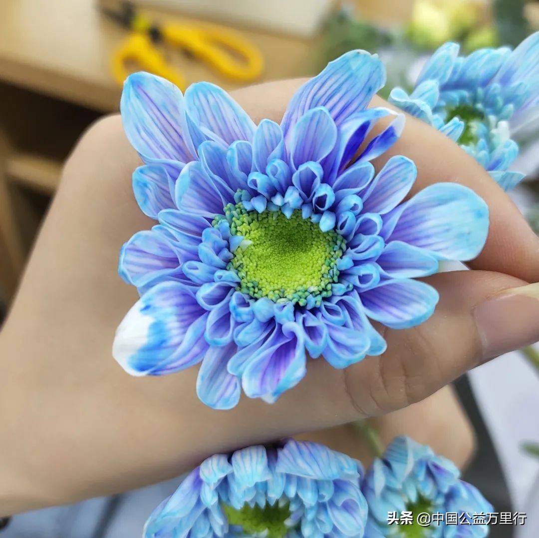 工会文体活动小课堂,工会活动寓教于乐