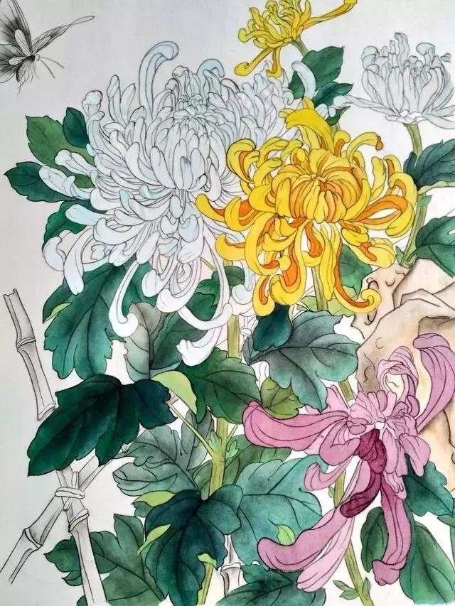 国画菊花教程工笔,工笔国画教程菊花蓝蝶