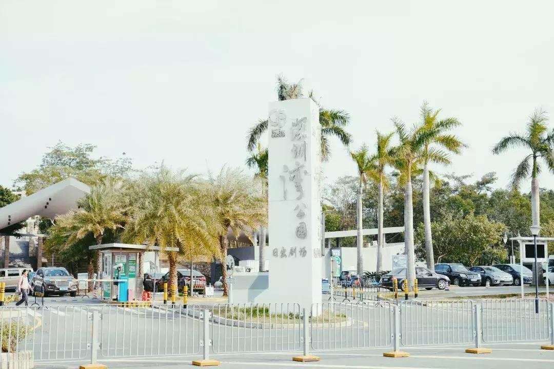 深圳湾公园这里有什么好吃的,深圳湾在哪里