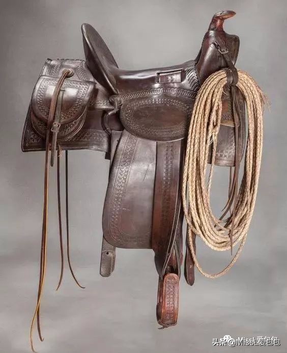 diorsaddle包全金,diorsaddle大包