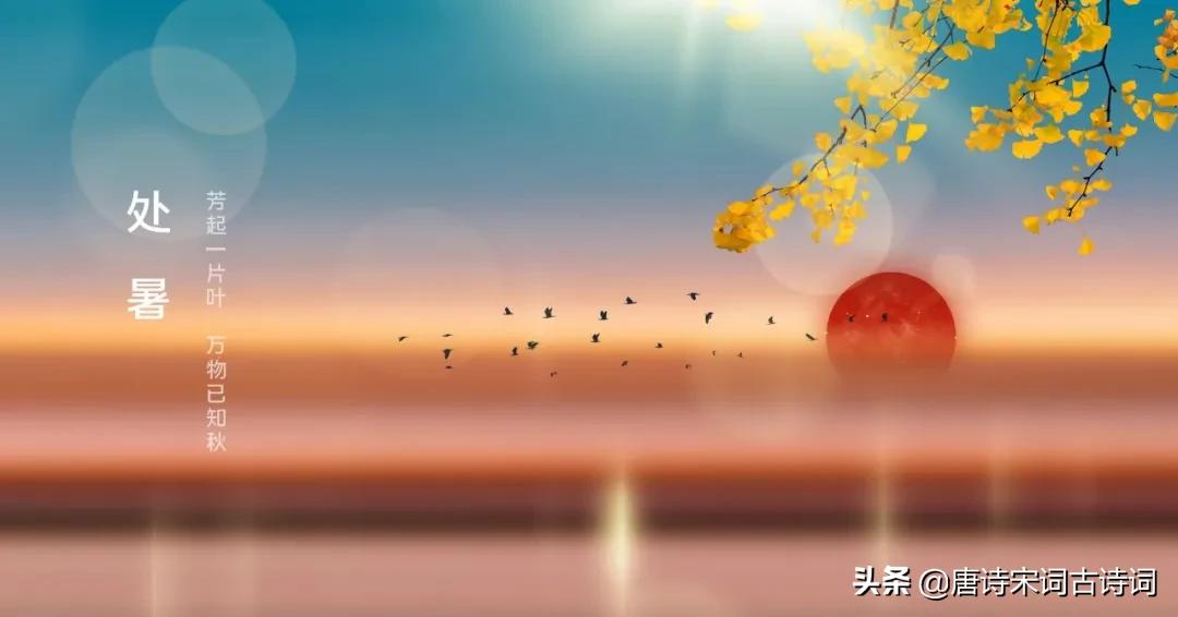 处暑译文吕本中,处暑吕本中朗诵