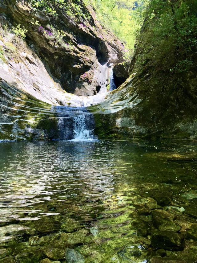 智者乐山仁者乐水谁作的诗,智者乐山仁者喜水