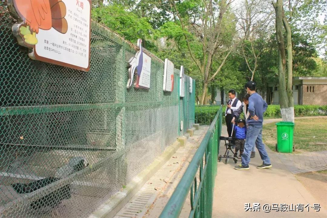 马鞍山特别大的动物园,马鞍山野生动物世界