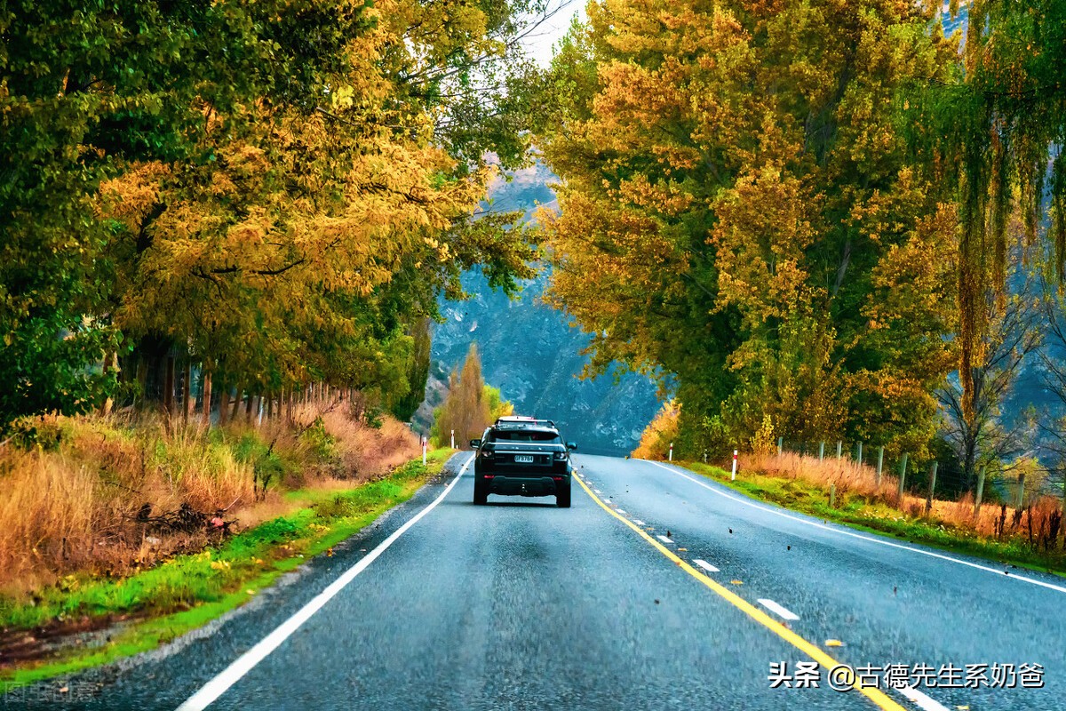 五一带娃去旅游，古德奶爸带你划重点