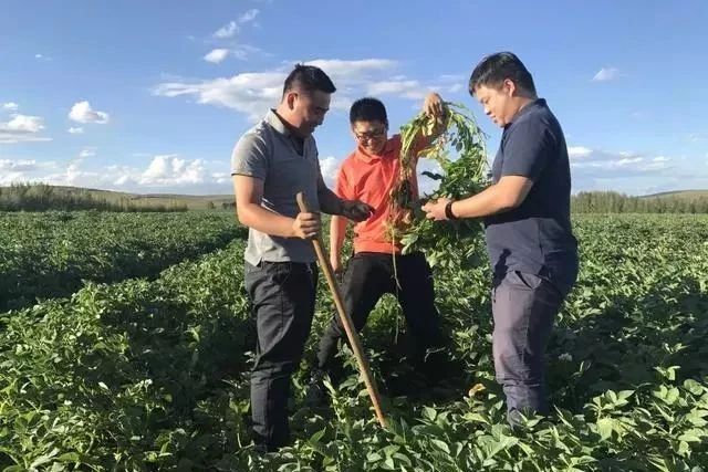 农发贷最新信息,农发贷有几种