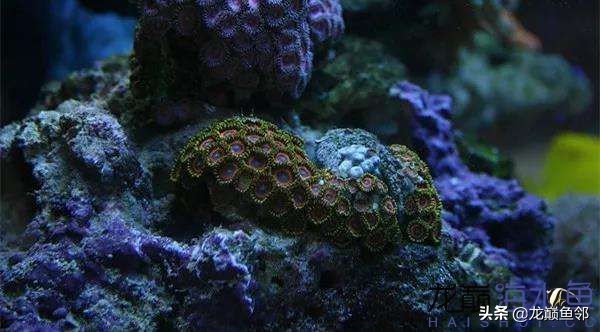 说出来都是泪！只有新下海的人才能体会这种痛，简直是全军覆灭