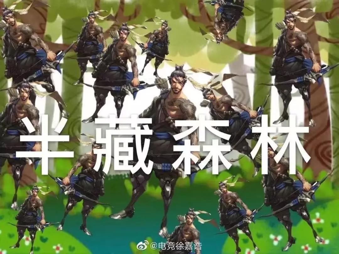 半藏森林新图片,半藏森林是谁