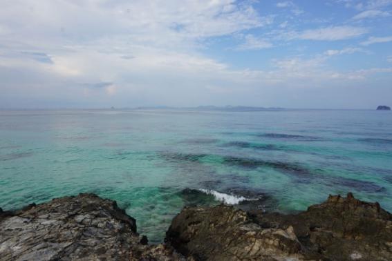 泰国普吉岛特产美食介绍大全,普吉岛哪里买特产便宜实惠的